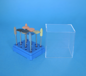 ZM 6 - Zestaw modelarski - gumki polerskie o różnych gradacjach 10 szt. - 12