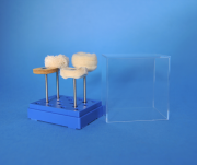 ZM 4 - Zestaw modelarski - szczoteczki polerskie - 4 szt. - 2